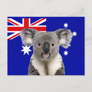 Koala med australiensisk flaggabakgrund vykort