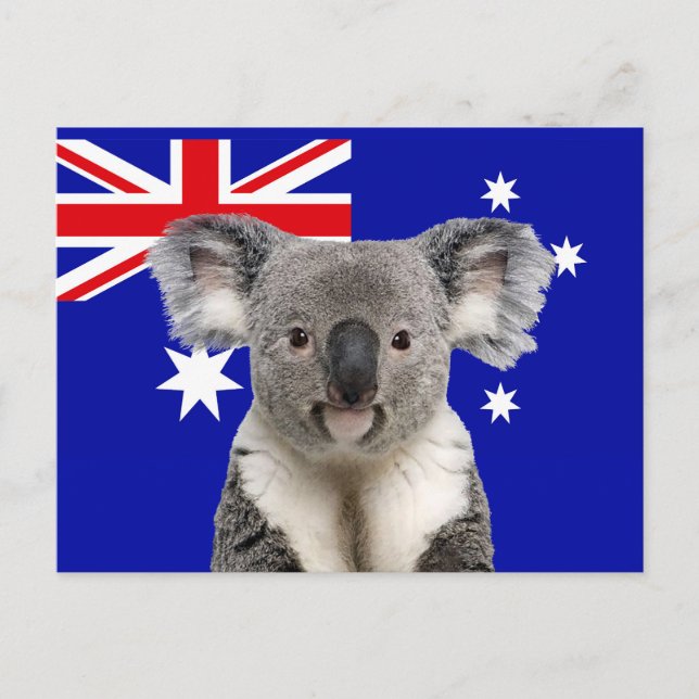 Koala med australiensisk flaggabakgrund    vykort (Framsida)