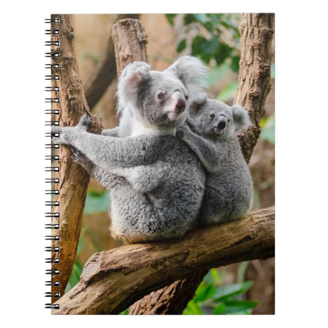 Koala med Baby i Träd i Australien Anteckningsbok (Framsidan)