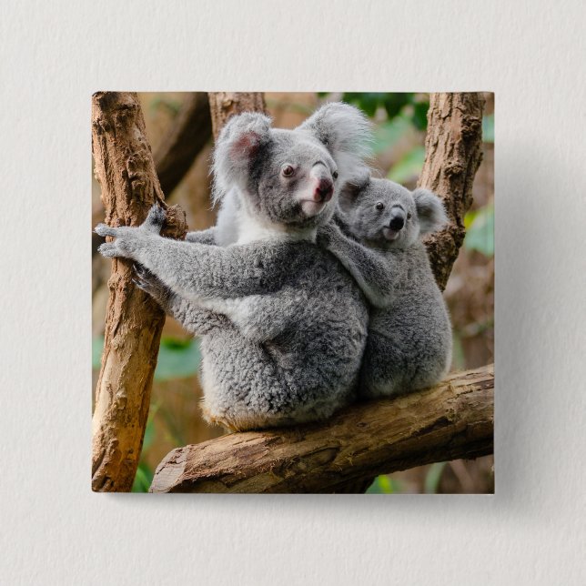 Koala med Baby i Träd i Australien Knapp (Framsida)
