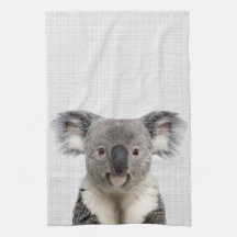 Koala med grått linnebakgrund