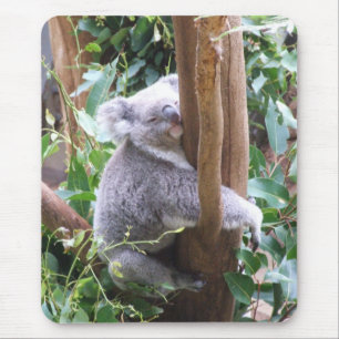 Koala Mousepad Musmatta