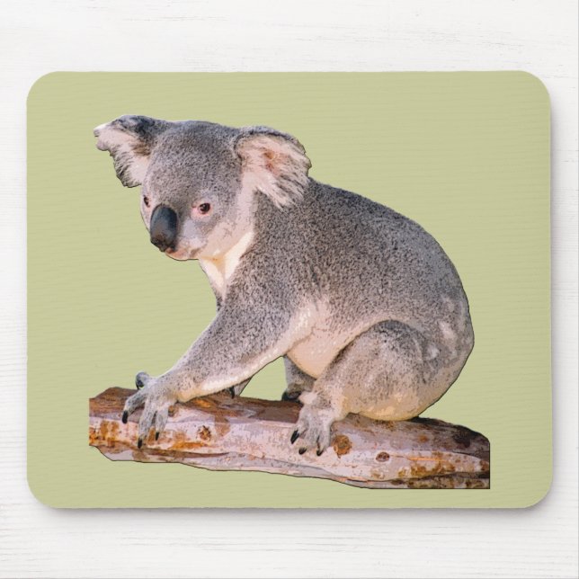 Koala Mousepadd Musmatta (Framsidan)