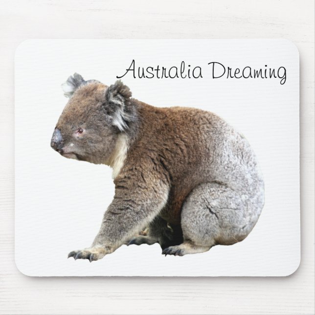 Koala Musmatta (Framsidan)