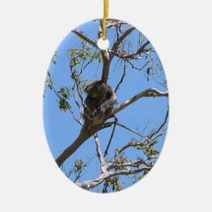 Koala Nap Julgransprydnad Keramik