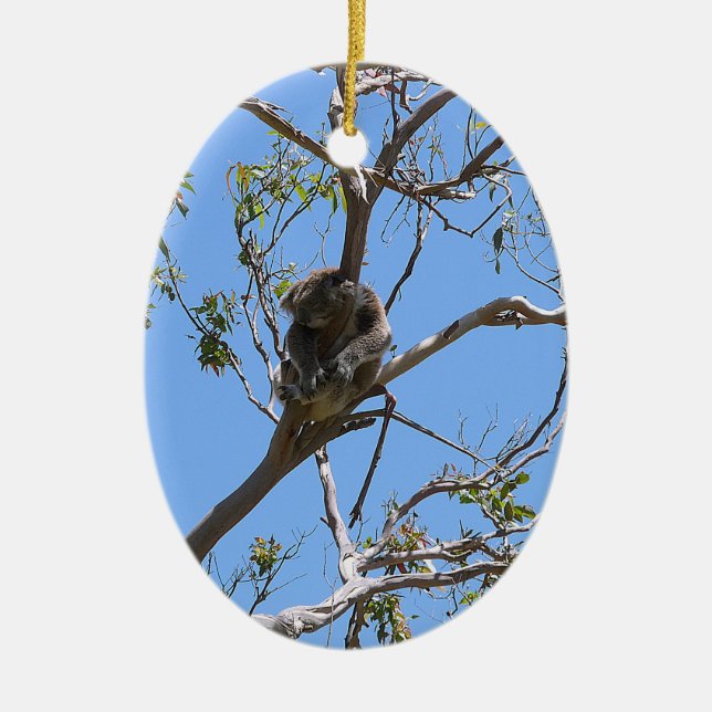 Koala Nap Julgransprydnad Keramik (Framsidan)