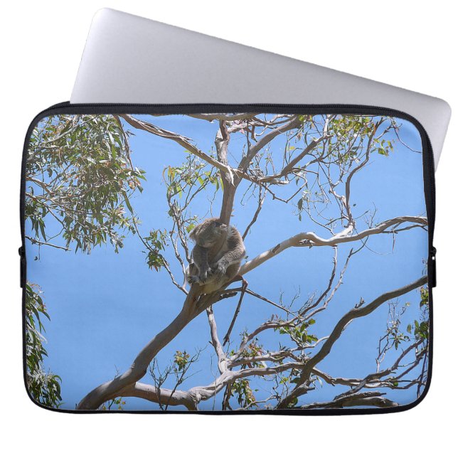 Koala Nap Laptop Fodral (Framsidan)