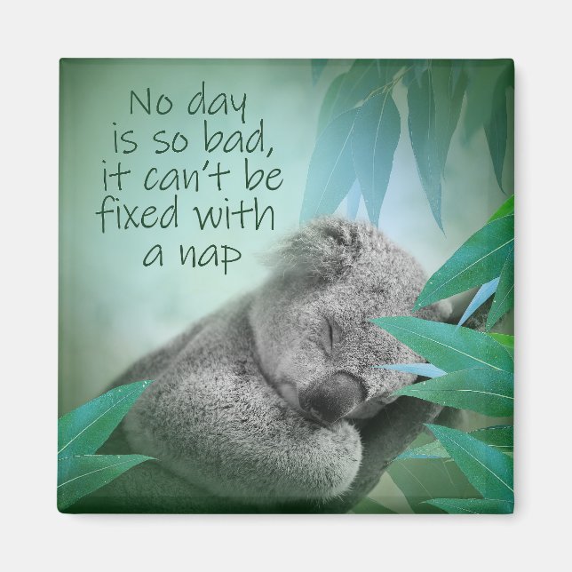 Koala Nap Magnet (Framsidan)