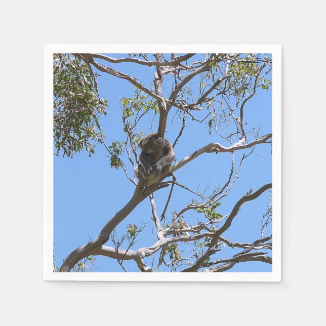 Koala Nap Pappersservett (Framsidan)