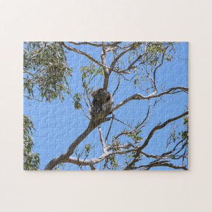 Koala Nap Pussel
