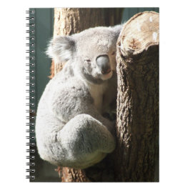 Koala Notebook Anteckningsbok