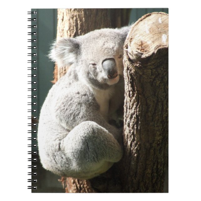 Koala Notebook Anteckningsbok (Framsidan)
