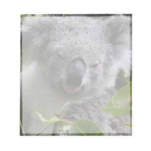 koala notes anteckningsblock