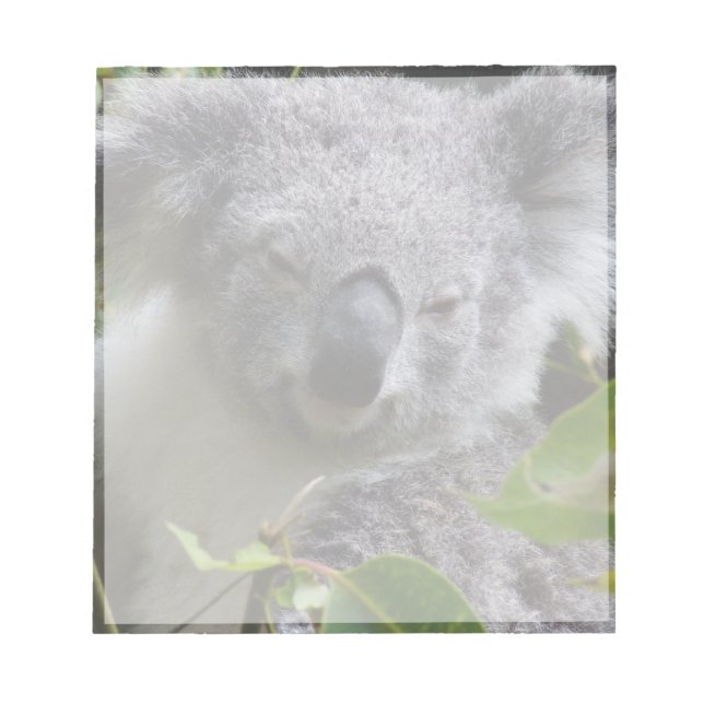 koala notes anteckningsblock (Framsida)