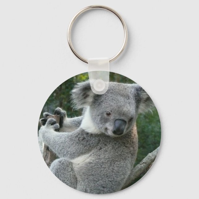 Koala Nyckelring (Framsida)