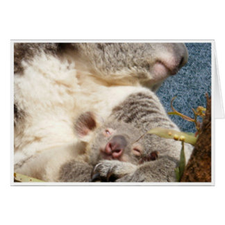 koala och bebis hälsningskort