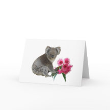 Koala och Eucalyptus