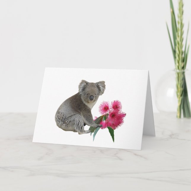 Koala och Eucalyptus Kort (Framsida)