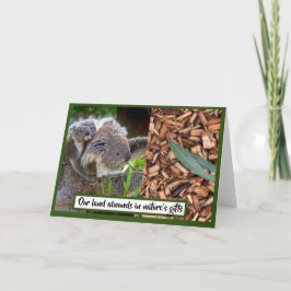 Koala- och eukalyptus-kort kort