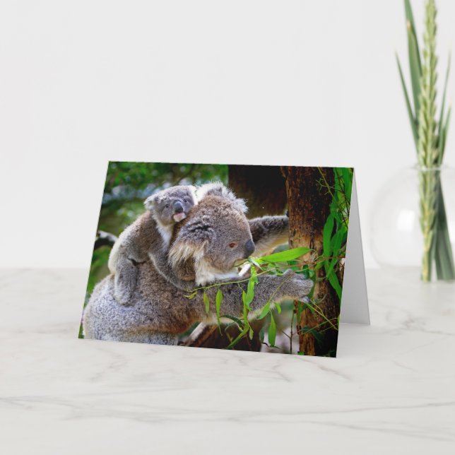 Koala och Joey Mors dag Card Kort (Framsida)
