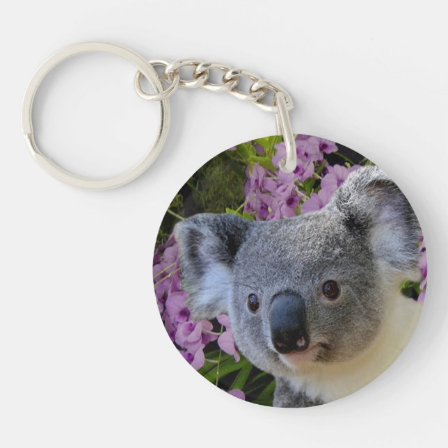 Koala och orkidéer (Framsidan)