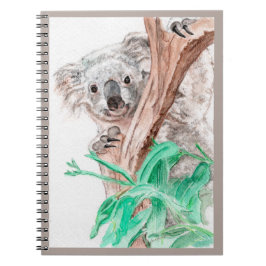 Koala, Peek-a-Boo Anteckningsbok