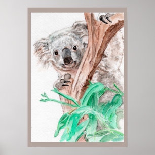 Koala, Peek-a-Boo Poster
