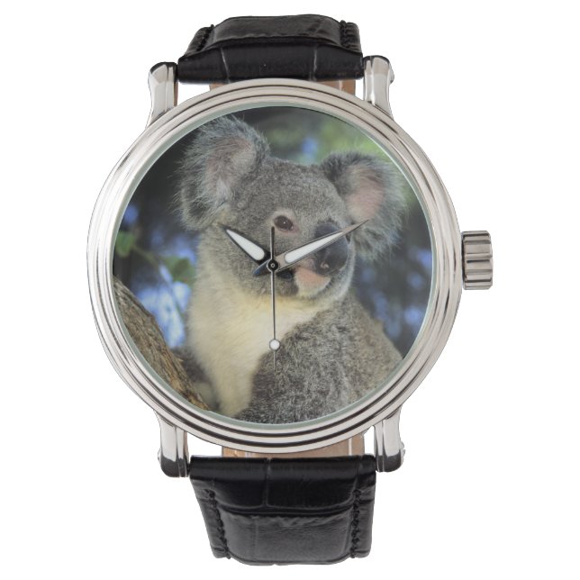 Koala, Phascolarctos cinereus), Australien Armbandsur (Framsida)