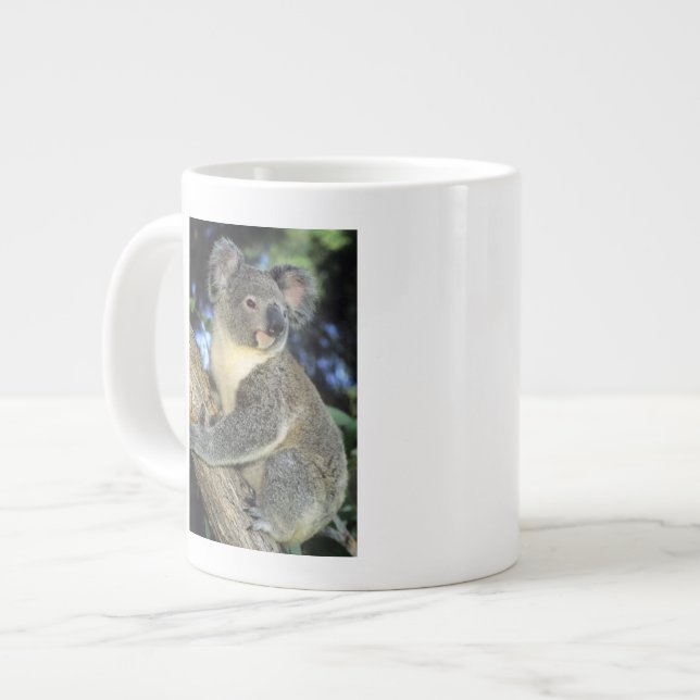 Koala, Phascolarctos cinereus), Australien, Jumbo Mugg (Framsida vänster)