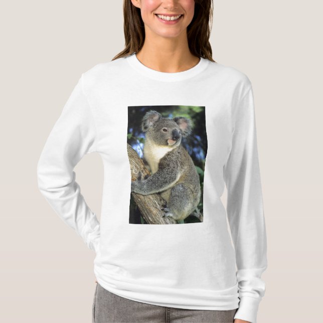 Koala, Phascolarctos cinereus), Australien T-shirt (Framsida)