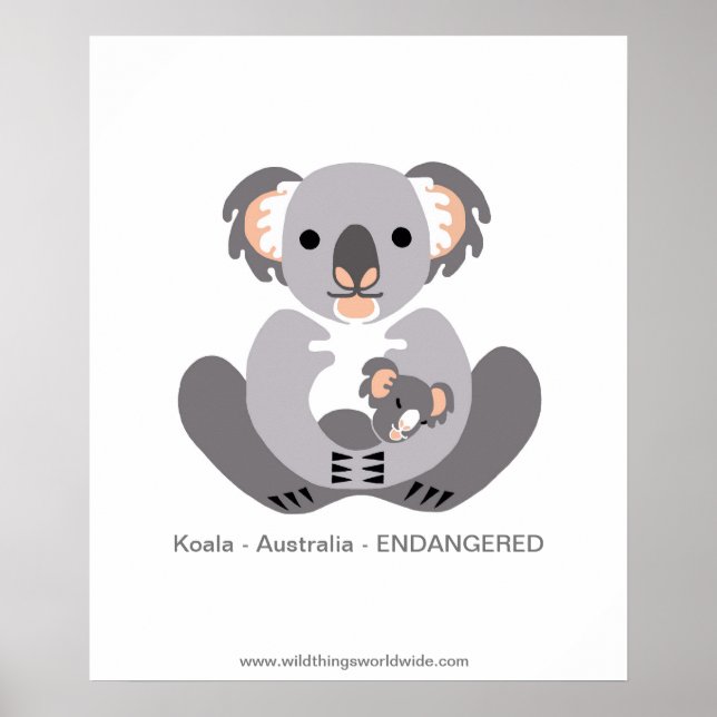 Koala - poster (Framsidan)