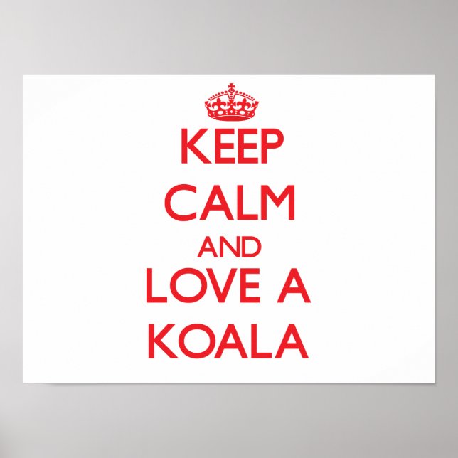 Koala Poster (Framsidan)