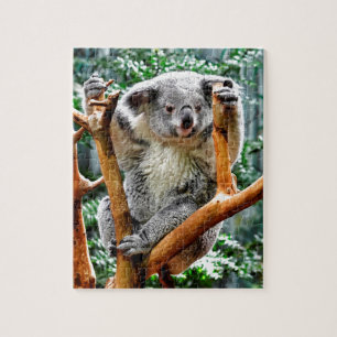 Koala Pussel