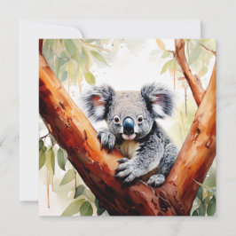 Koala sittande i ett gummiträd kort