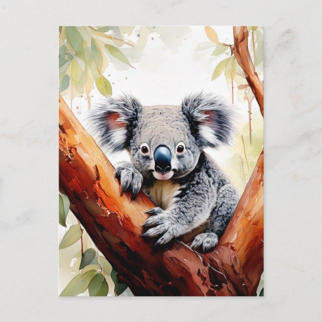 Koala sittande i ett gummiträd vykort (Framsida)