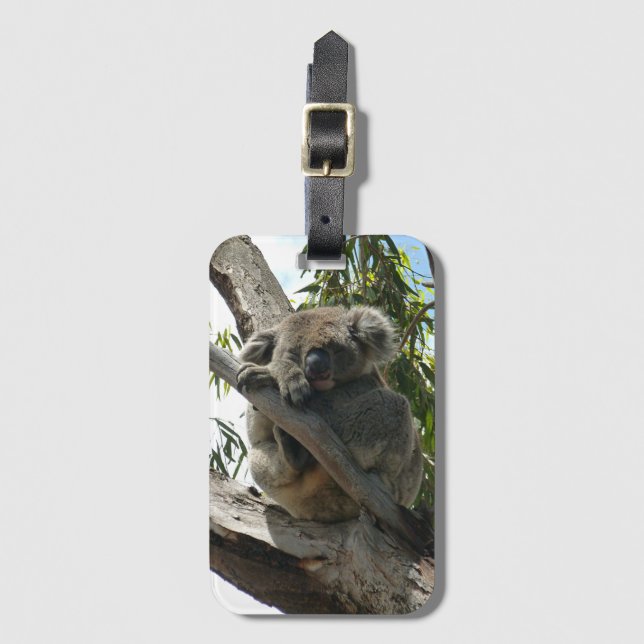 Koala - Sleeping Bagagebricka (Framsida vertikal)