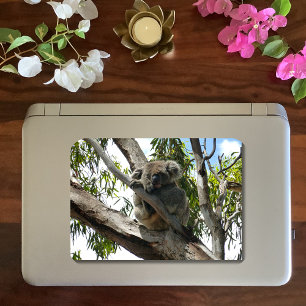 Koala - Sleeping Runt Klistermärke