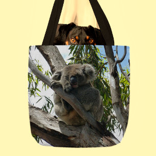 Koala - Sleeping Tygkasse