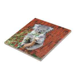 Koala Snack Time Ceramic Tile Kakelplatta