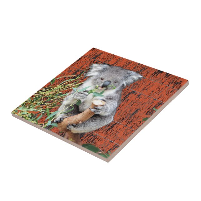 Koala Snack Time Ceramic Tile Kakelplatta (Sidan)