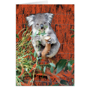 Koala Snack Time Hälsningskort