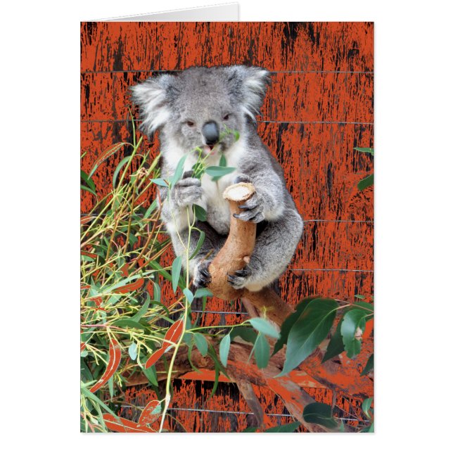 Koala Snack Time Hälsningskort (Framsidan)