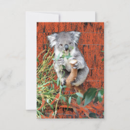 Koala Snack Time Kort