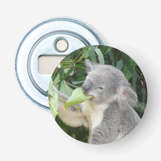 Koala som äter gummitblad flasköppnare