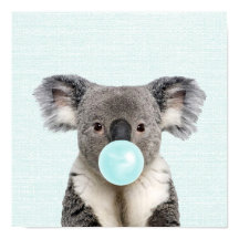 Koala som blåser en blå bubbelgummiposters