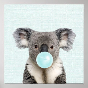 Koala som blåser en blå bubbelgummiposters poster