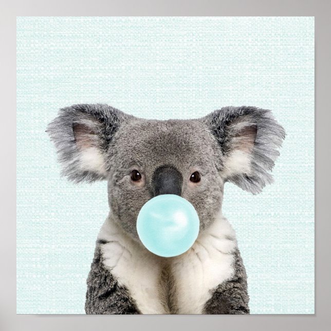 Koala som blåser en blå bubbelgummiposters poster (Framsidan)