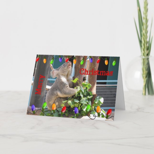 Koala som förbereder sig för julkort helgkort (Framsida)