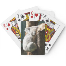 Koala som leker kort