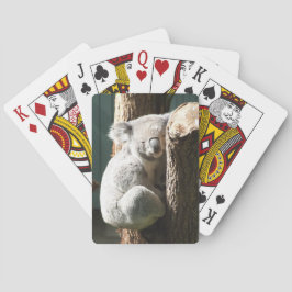 Koala som leker kort casinokort